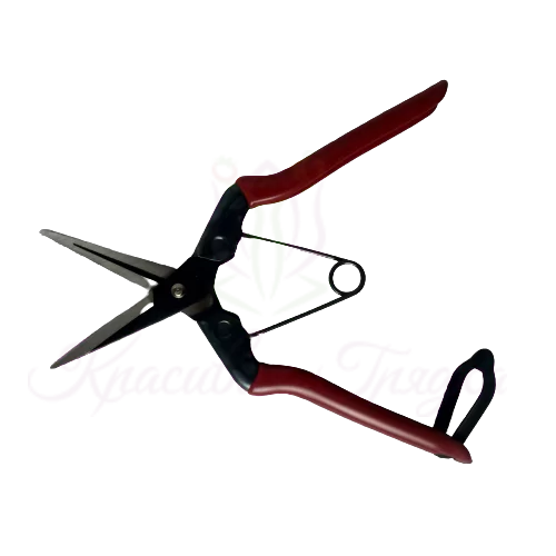 Ножницы для сбора фруктов, овощей, цветов с прямым лезвием