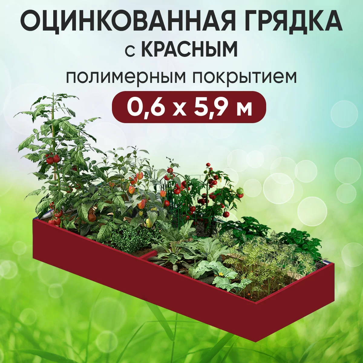 Грядка красная (0,6 х 5,9)