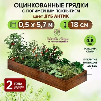 Грядка Дуб Антик (0,5 х 5,7)