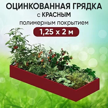 Грядка красная (1,25 х 2)